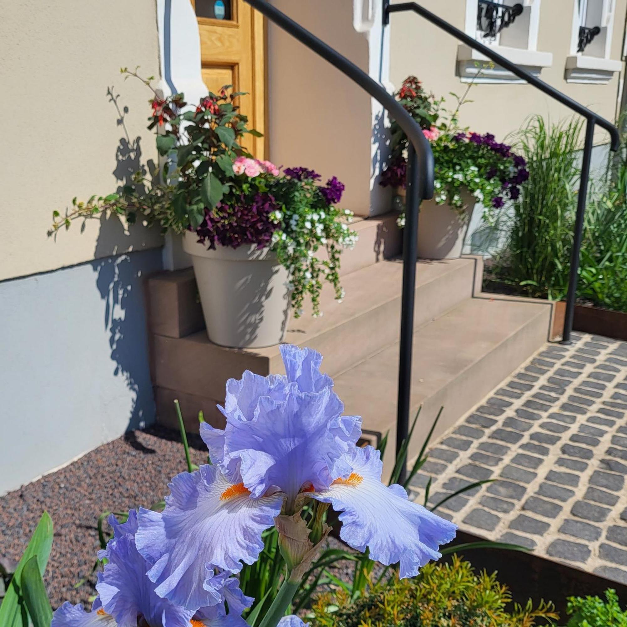 Komfort Ferienwohnungen Mit Wellness-Garten - Gaestehaus Am Bachlauf - Losheim Am See Quarto foto