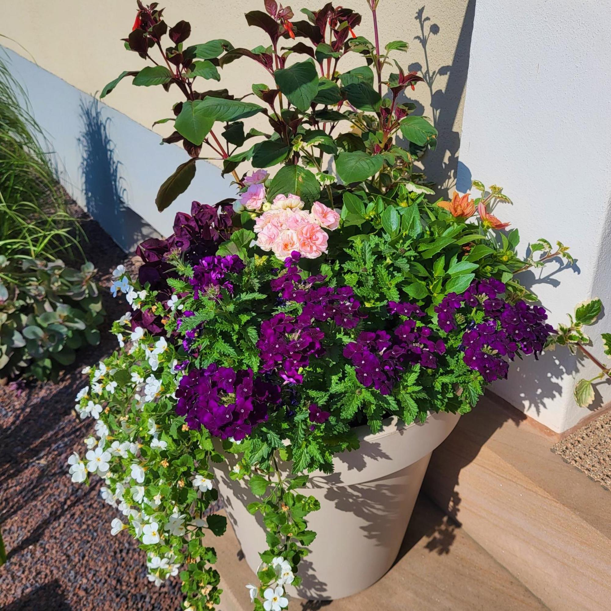 Komfort Ferienwohnungen Mit Wellness-Garten - Gaestehaus Am Bachlauf - Losheim Am See Quarto foto
