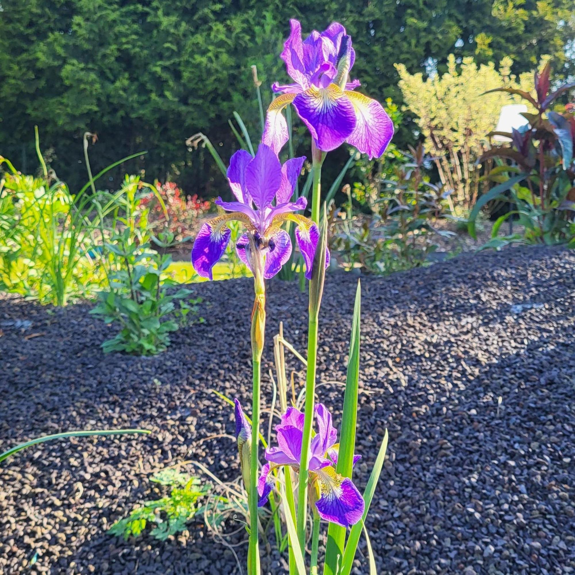 Komfort Ferienwohnungen Mit Wellness-Garten - Gaestehaus Am Bachlauf - Losheim Am See Quarto foto
